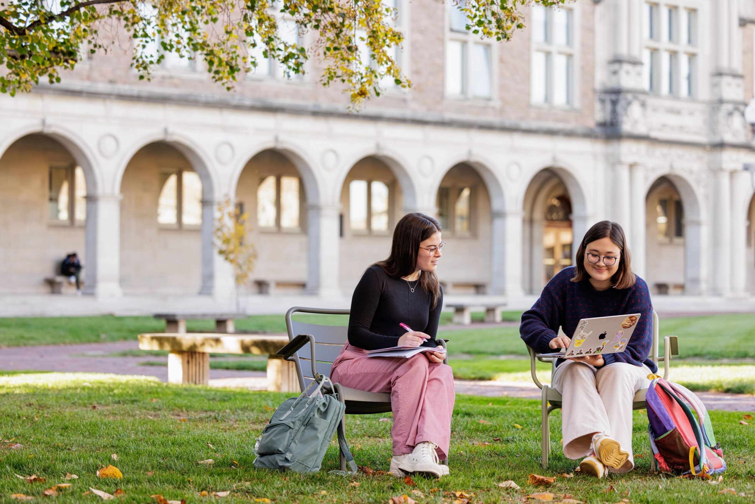 Undergraduate students study together on the lawn